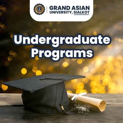 Undergraduate program 